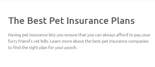 Best Pets Insurance Reviews Dec 2024