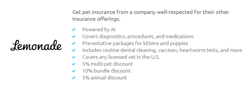 Best Pets Insurance Reviews Dec